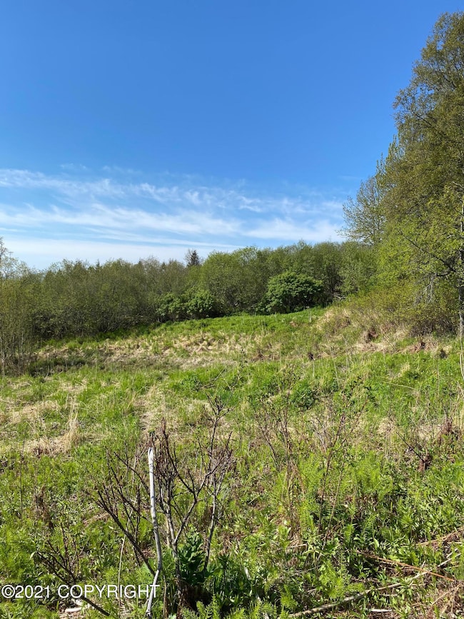 58150 Glacier View Rd, Fritz Creek, AK 99603 - photo 6