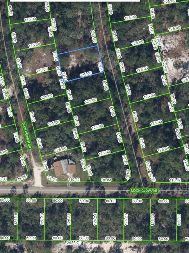 216 Rainbow Dr, Lake Placid, FL 33852 - photo 3