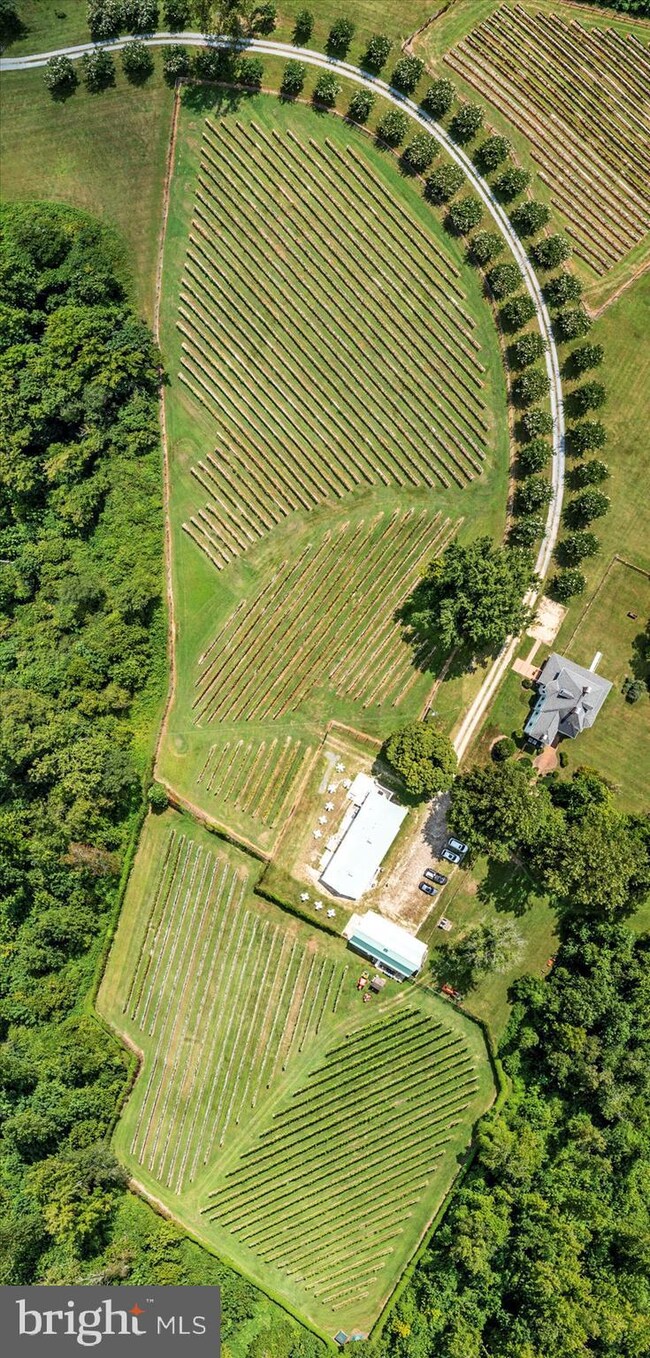 195 Harwood Rd, Harwood, MD 20776 - photo 6