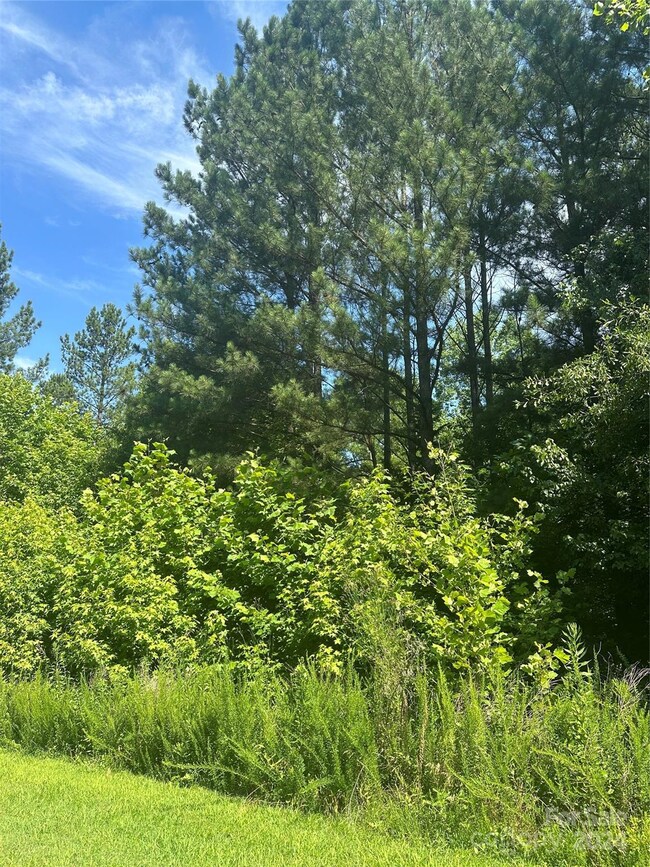 5135 Star Magnolia Ct, Clover, SC 29710 - photo 2