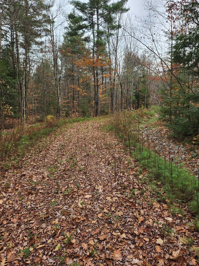 32 Bowen School Rd, Deering, NH 03244 - photo 3