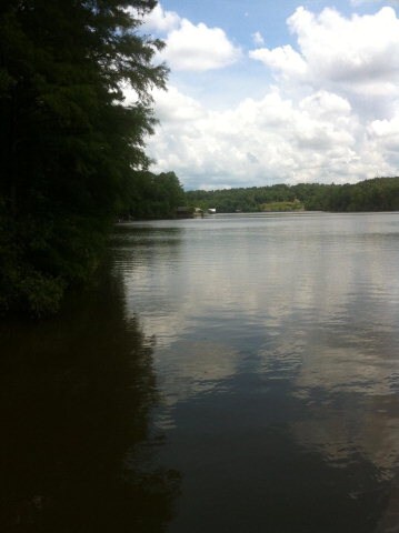 Additional View