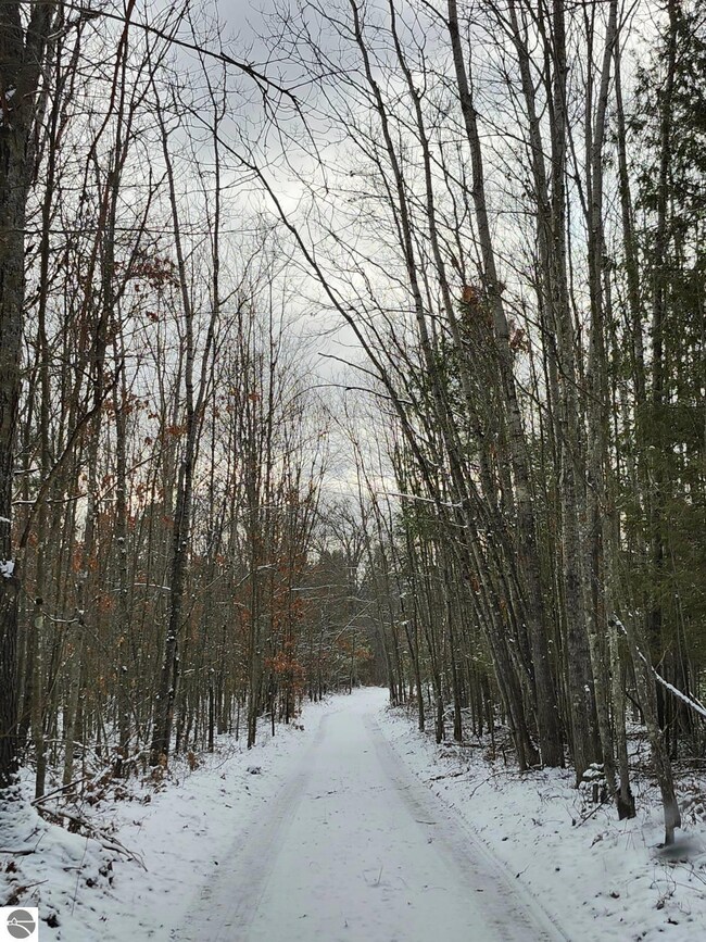 2280 Harvey Trail, Oscoda, MI 48750 - photo 2