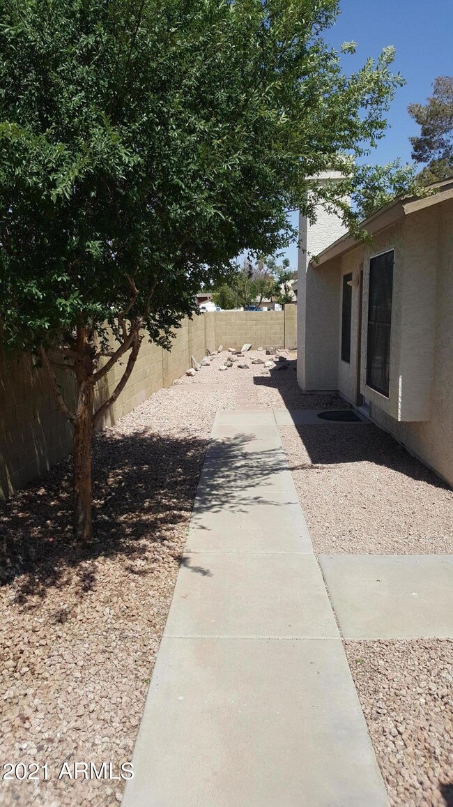 Sideyard/entry