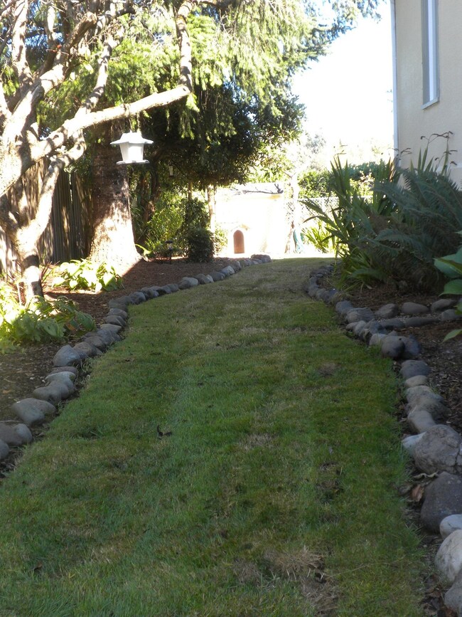 Side Yard
