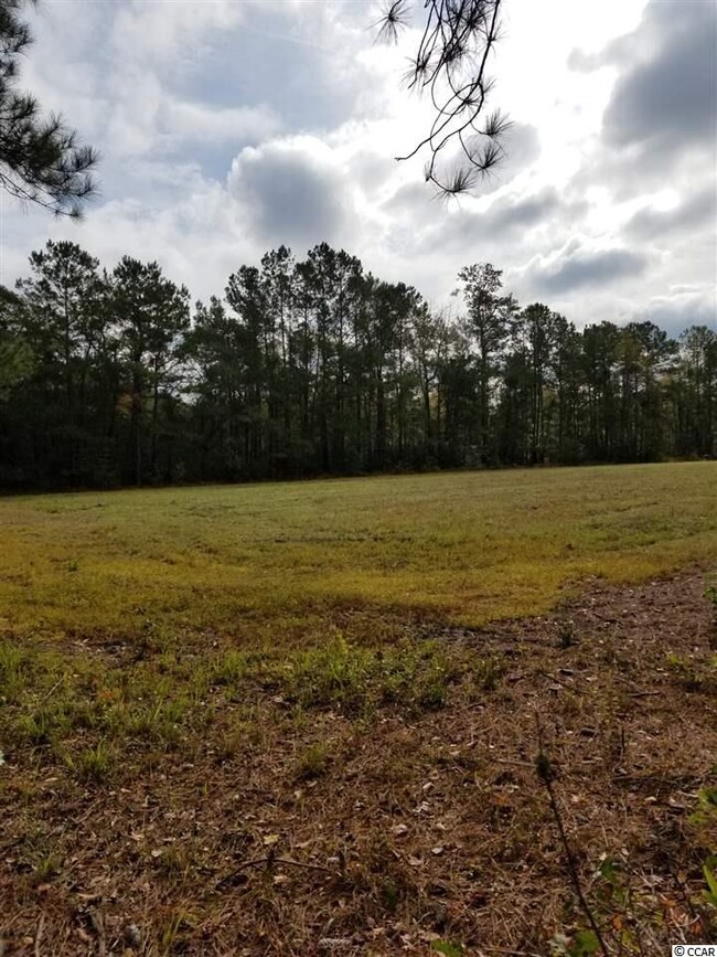 6 S Carolina 66, Conway, SC 29526 - photo 3