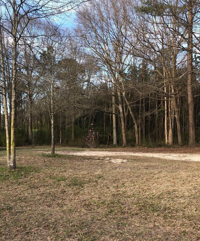 253 Charlie Green Rd, Laurel, MS 39443 - photo 3