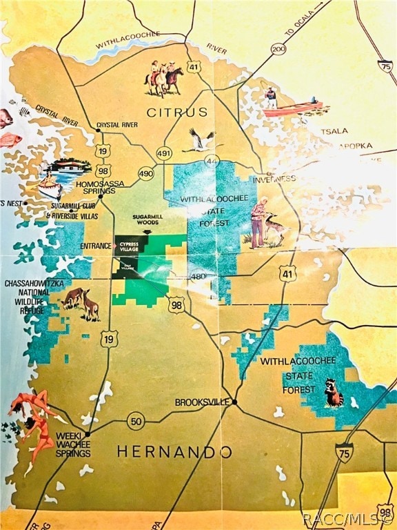 54 Cypress Blvd E, Sugarmill Woods, FL 34446 - photo 3