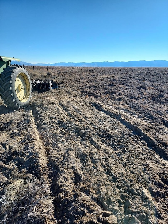 469-400 Helman Ln, Wendel, CA 96136 - photo 6