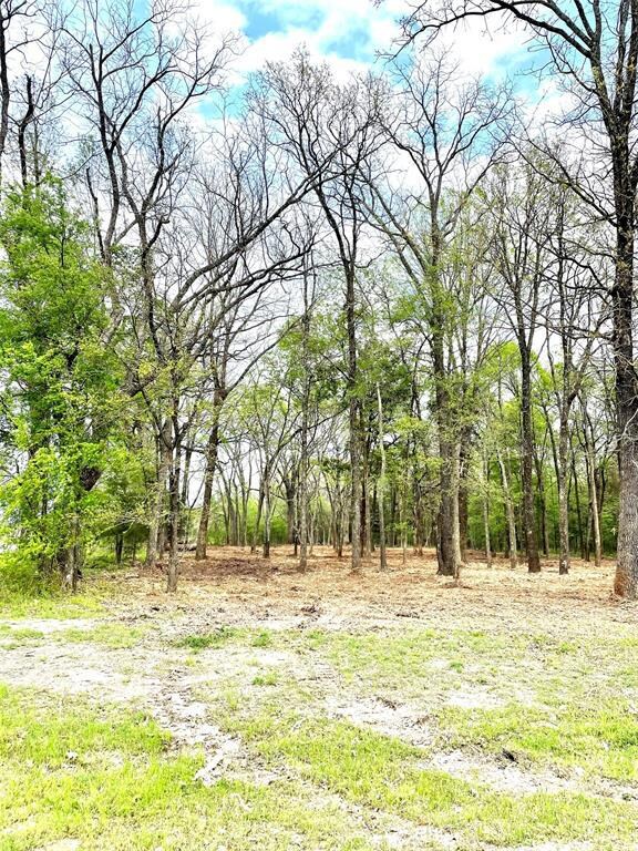 LOT 117 Watersedge Dr Bs# A37, Corsicana, TX 75109 - photo 2