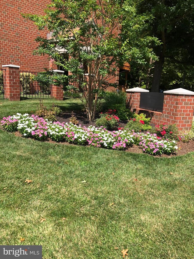 8020 Derby Ln, Owings Mills, MD 21117 - photo 5