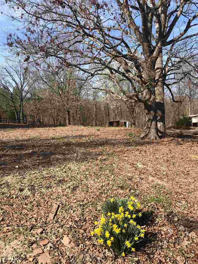 357 Cr 372, Bono, AR 72416 - photo 3