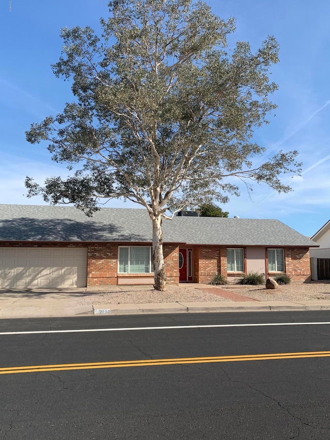 unlisted-address, Mesa, AZ 85202 - photo 3