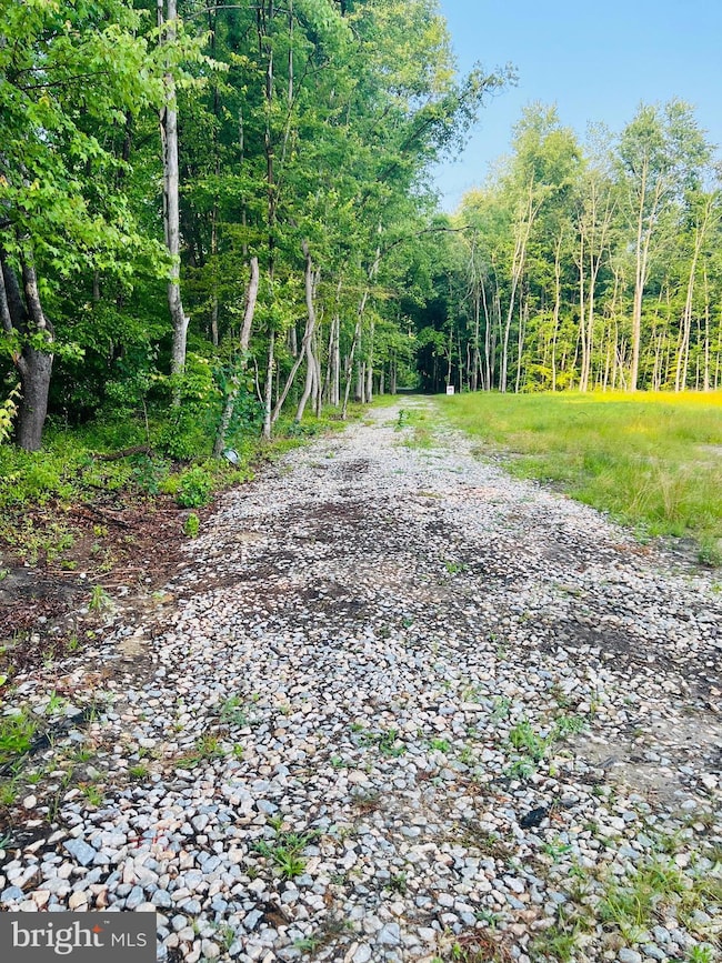 2 Downs Chapel Rd, Clayton, DE 19938 - photo 7