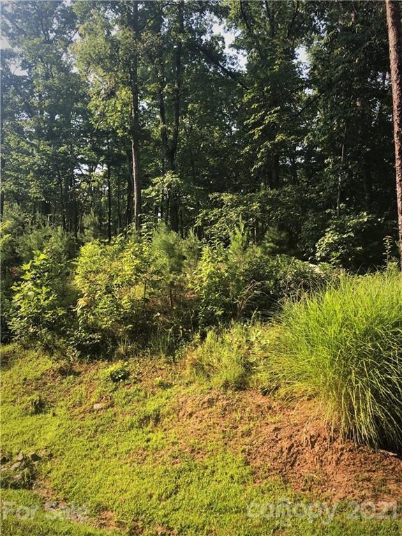 0 Lure Ridge Dr unit 26 3770330, Lake Lure, NC 28746 - photo 5