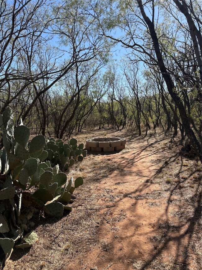 917 S Interstate Highway 20 Hwy, Trent, TX 79561 - photo 3