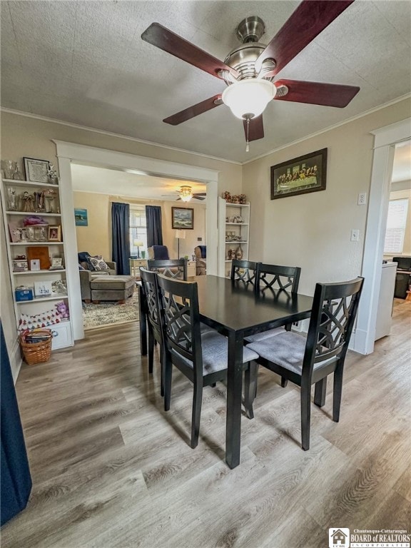 3033 W State St, Allegany, NY 14706 - photo 6