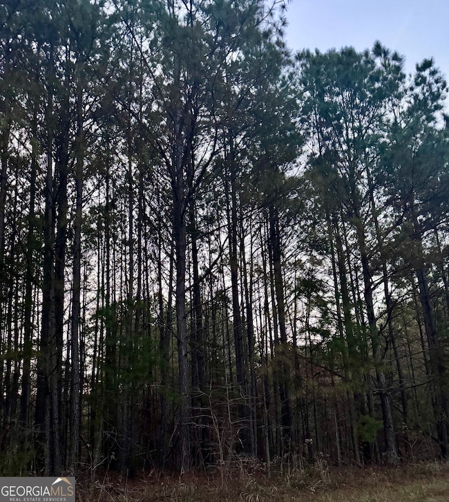 3230 Steadman Rd, Tallapoosa, GA 30176 - photo 2