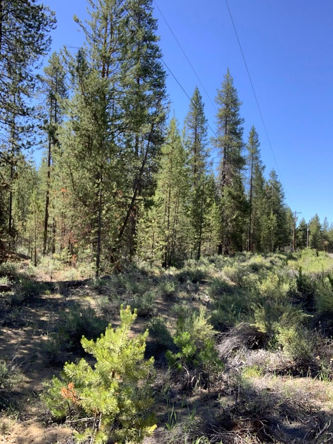 53620 Woodchuck Dr, La Pine, OR 97739 - photo 2