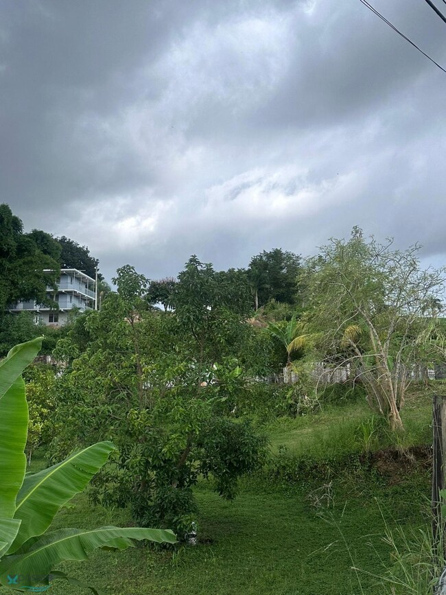 0 Carr 108 unit Lote 4 60998, Mayaguez, PR 00680 - photo 7