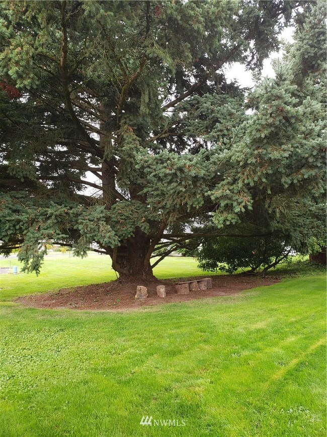 5026 80th Avenue Ct E unit 9, Fife, WA 98424 - photo 5