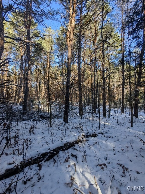 0 Bellingertown Rd unit S1651309, Forestport, NY 13338 - photo 7