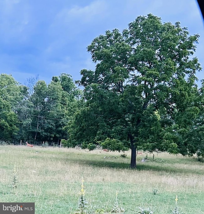 No Address Assigned. Cather Rd, Berryville, VA 22611 - photo 2