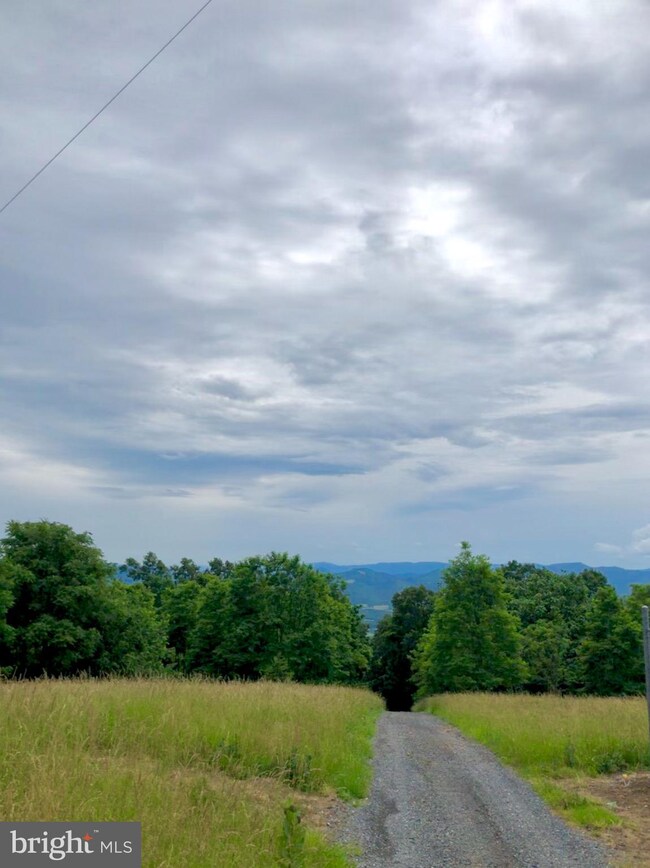 27.16 ACRES Charlies Knob, Petersburg, WV 26847 - photo 6