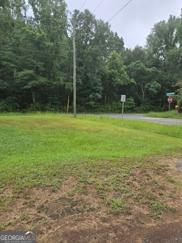 100 Hunters Ridge Dr, Monticello, GA 31064 - photo 6