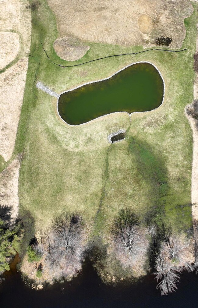 aerial cropped 4