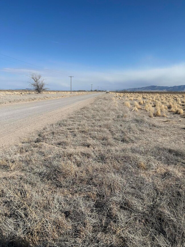 Facing east along road