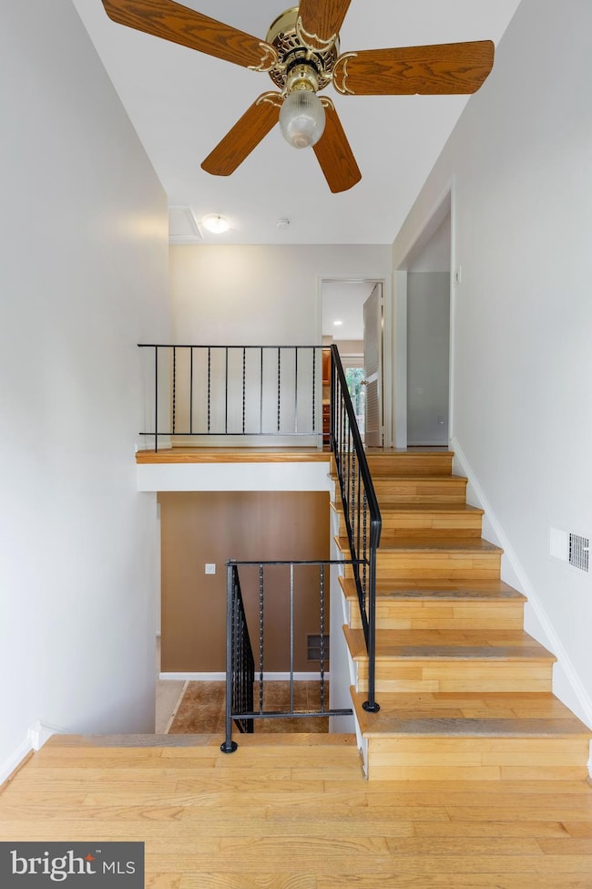 8710 Whitson Ct, Springfield, VA 22153 - photo 3