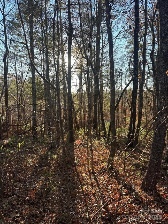 45 Westview Dr, Marion, NC 28752 - photo 5