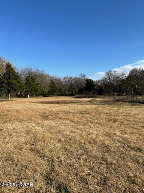 9742 County Road 260, Webb City, MO 64870 - photo 3