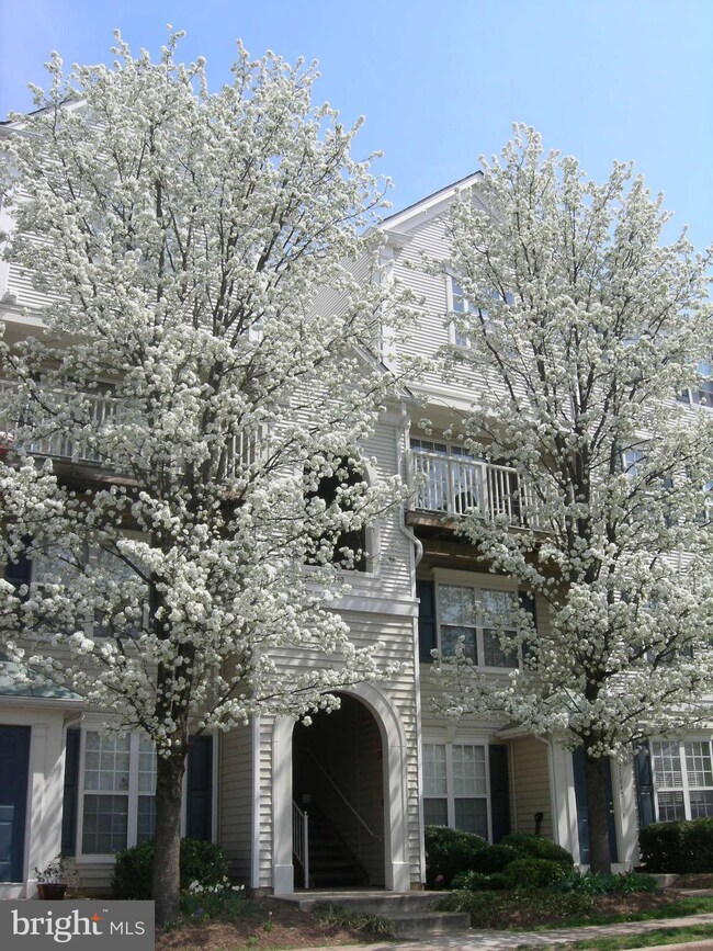 21840 Elkins Terrace unit 303, Sterling, VA 20166 - photo 2