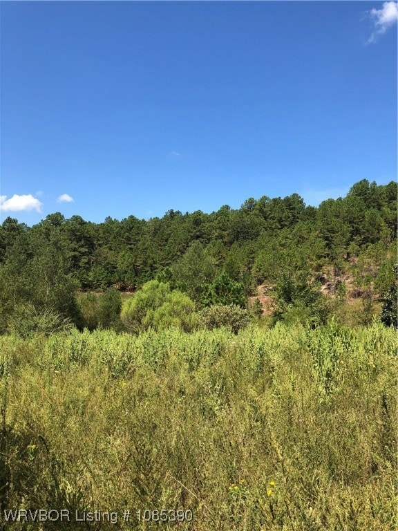 TBD Station Rd, Bokoshe, OK 74930 - photo 3