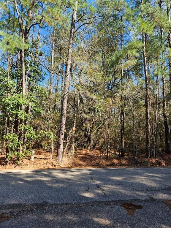 68042 S Strain Rd, Mandeville, LA 70471 - photo 3