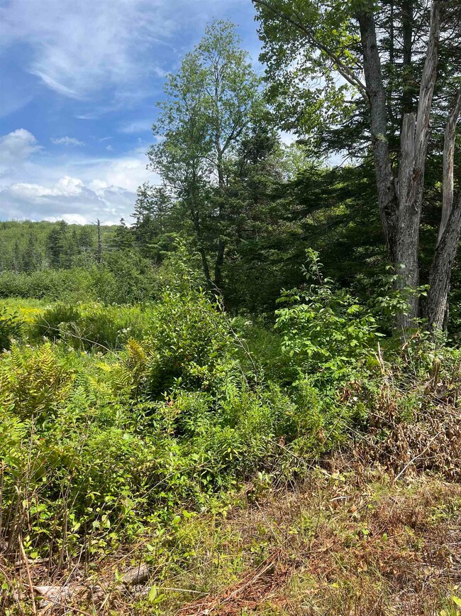 1156 N Groton Rd, Groton, NH 03266 - photo 5