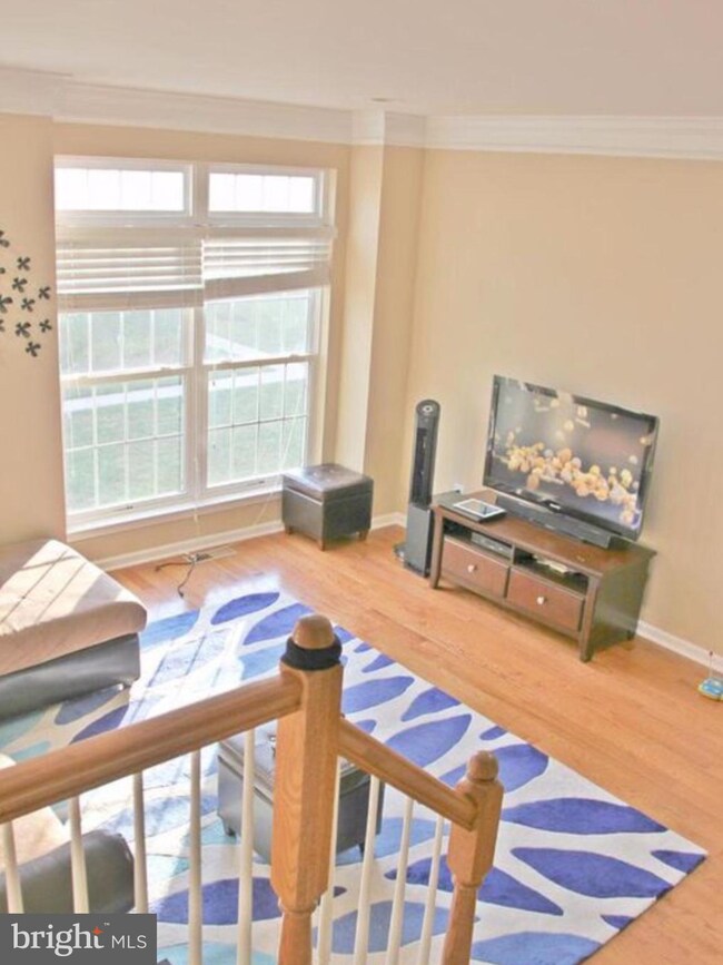 25115 Neptune Terrace, Chantilly, VA 20152 - photo 5