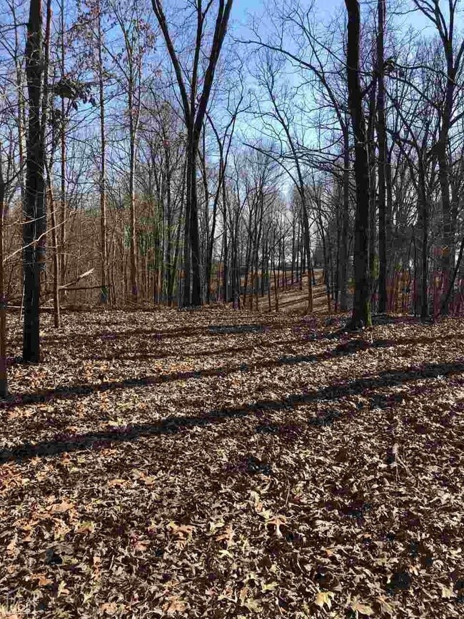 357 Cr 372, Bono, AR 72416 - photo 7