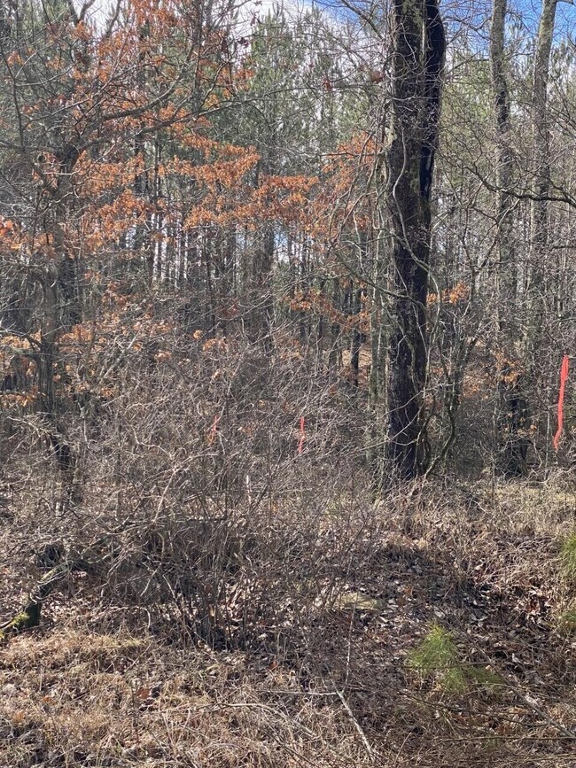 6 Thomas Springs Rd, Crossville, TN 38572 - photo 5