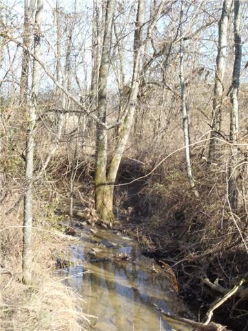 0 Perryman Ln, Shelbyville, TN 37160 - photo 6