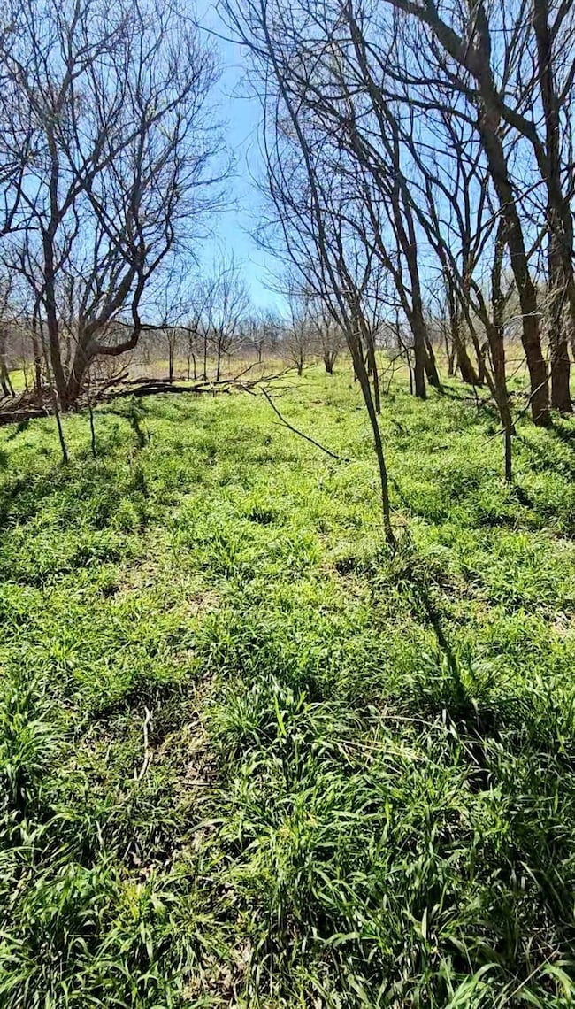 View of yard featuring a view of rural / pastoral
