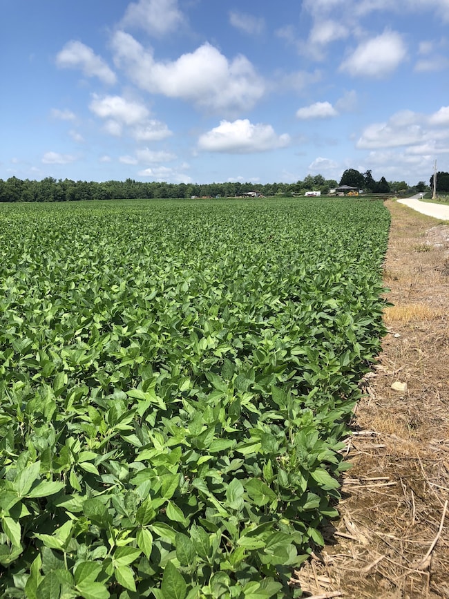 0 Duncan Rd, Manchester, TN 37355 - photo 3