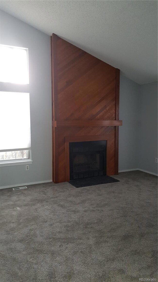 wood burning fireplace