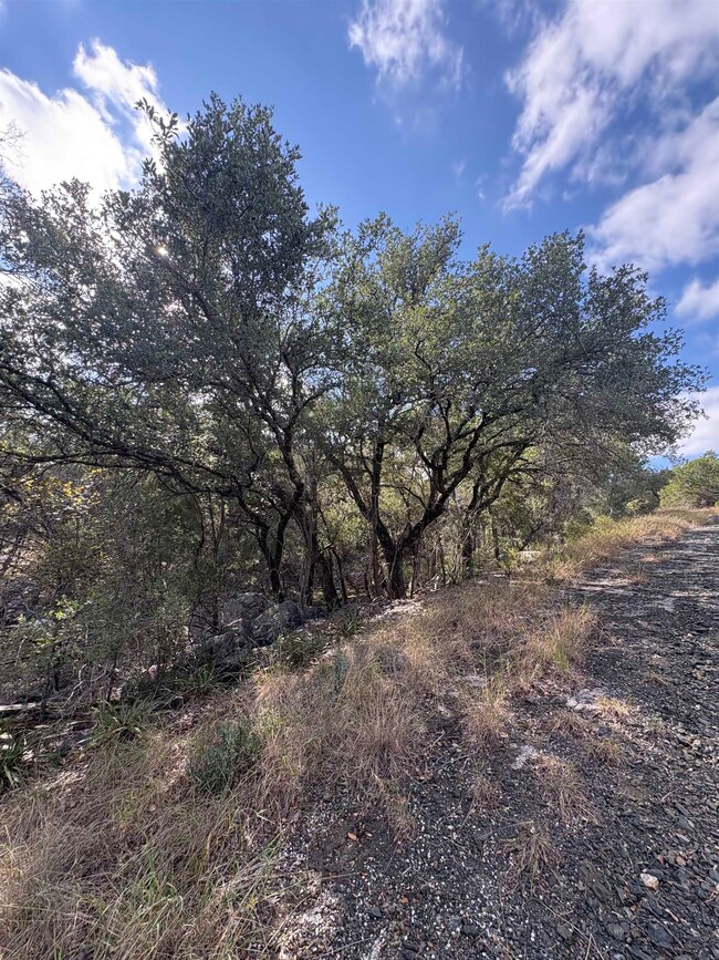 1104 Stampede, Cottonwood Shores, TX 78657 - photo 4