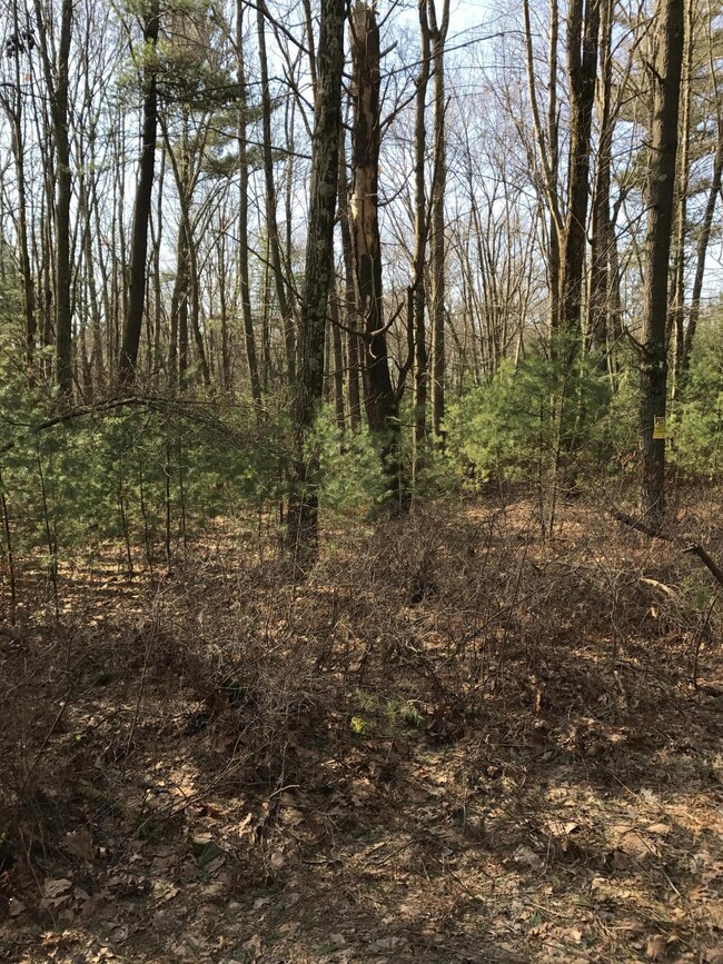 0 Frenchtown Rd, Milford, PA 18337 - photo 2