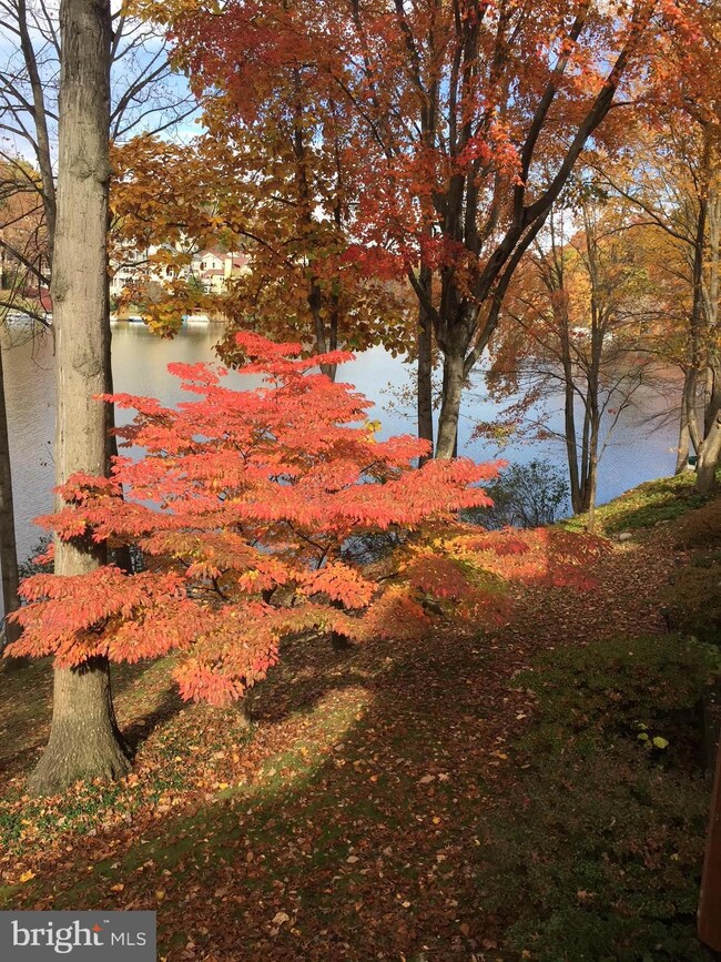 11032 Thrush Ridge Rd, Reston, VA 20191 - photo 3