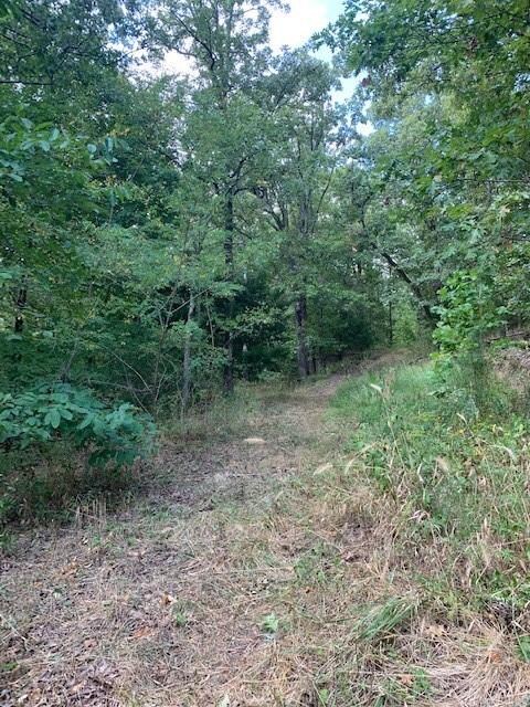 0 Patton Rd, West Fork Township, AR 72774 - photo 5