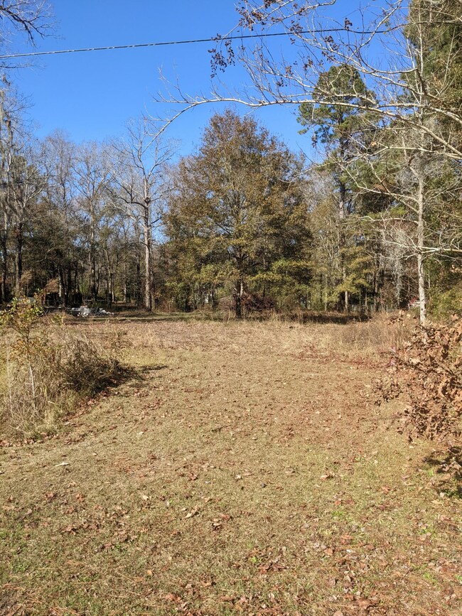 PXL_20211215_170241146